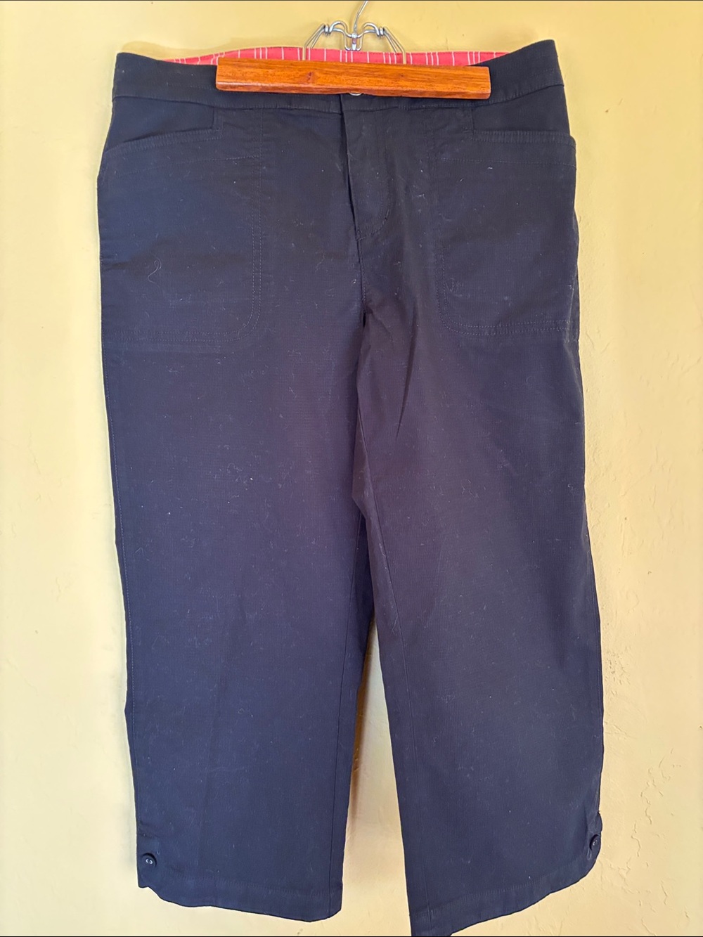 Lucy Black Cropped Ankle Pants